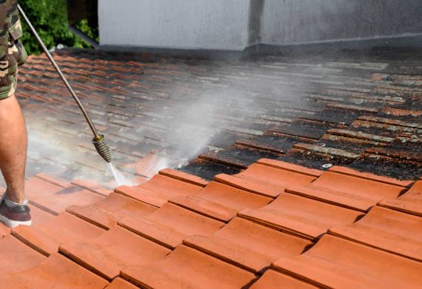 Best House Pressure Washing  in Saratoga, WY